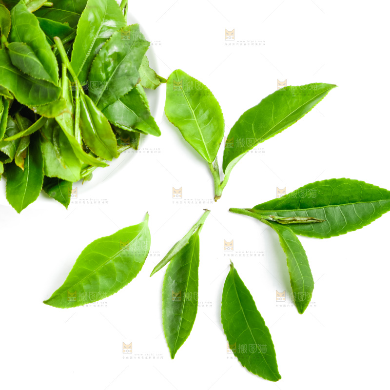 白底上摆放着茶叶子
