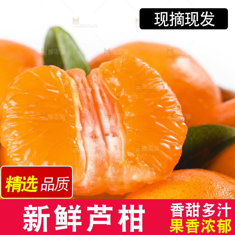 白底上放着椪柑