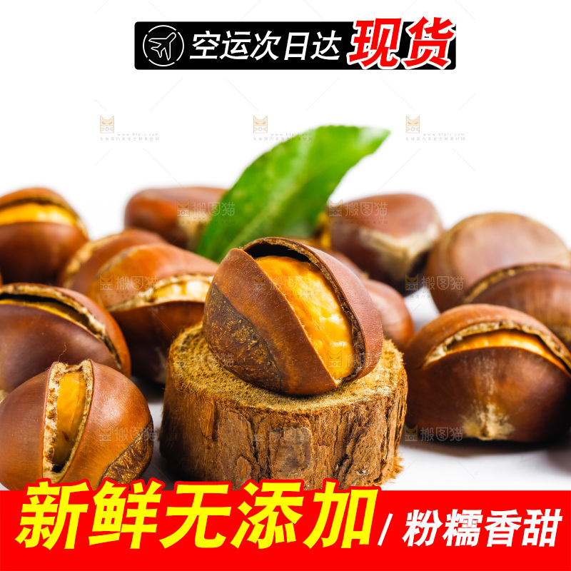 白底上的生板栗