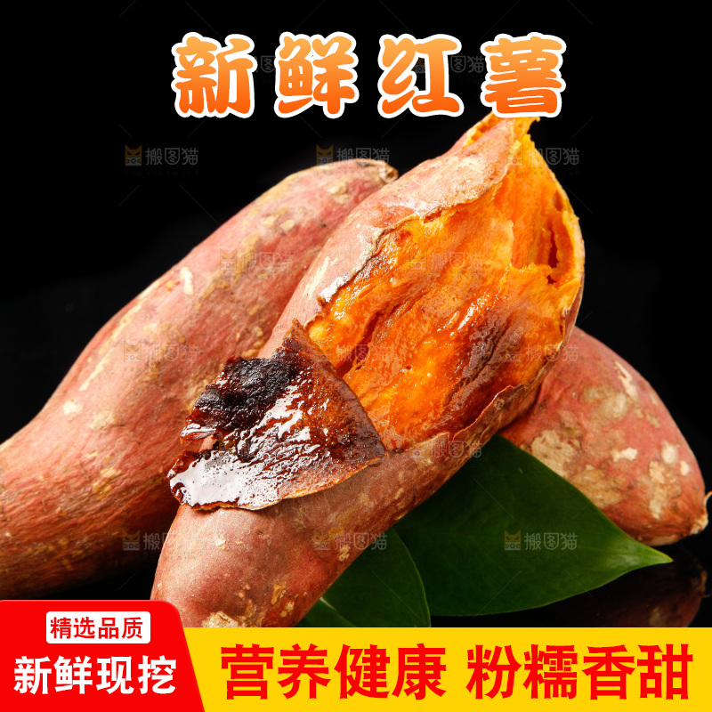 黑底上的烟薯25号