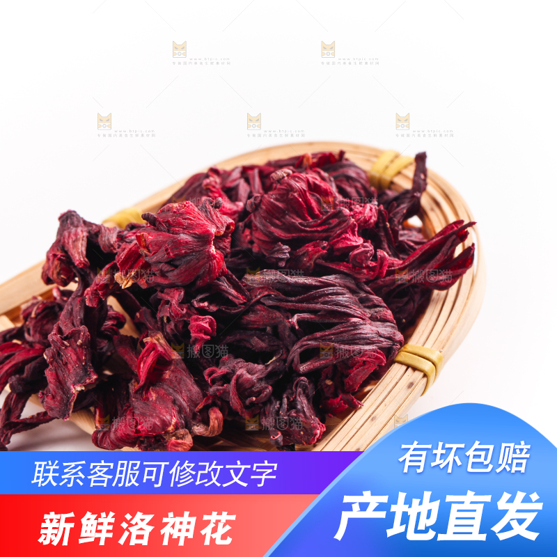 白底上的洛神花干