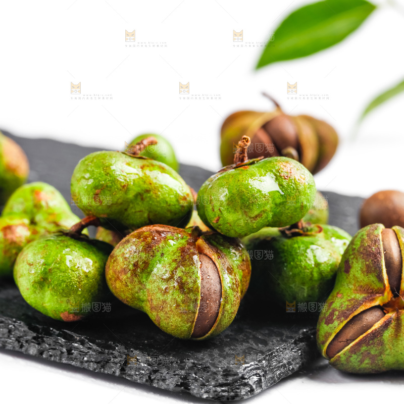 白底上放着茶树果