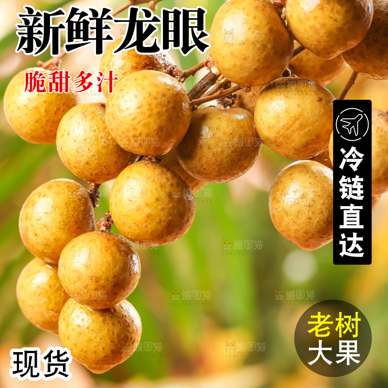 手里拿着新鲜龙眼