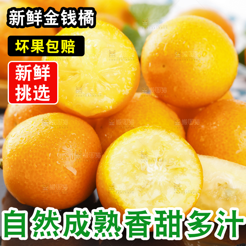 黑石板上的广西金钱橘