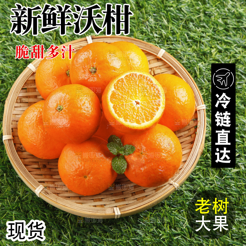 草地上放着贵妃柑