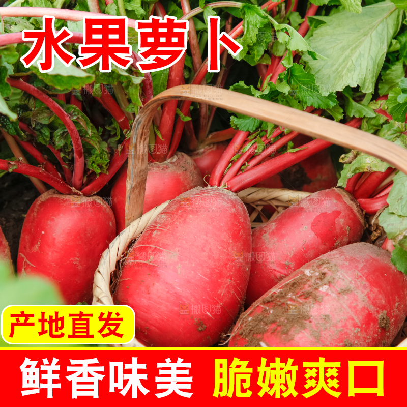 篮子里装着红萝卜