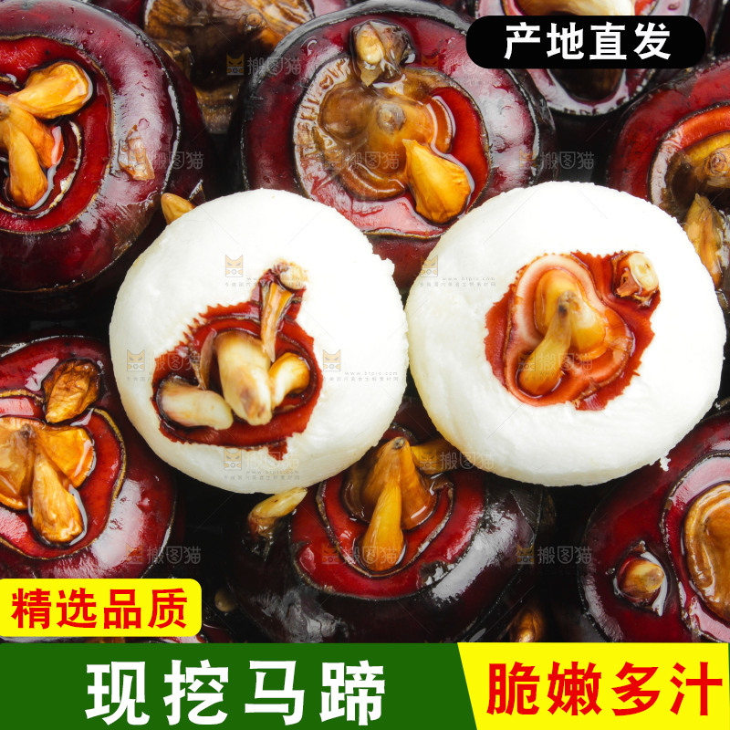 白底上摆放着广西荔浦马蹄