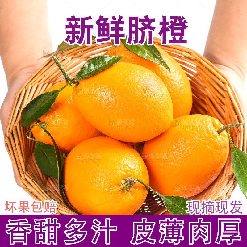 篮子里装着奉节脐橙