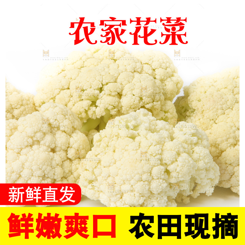 白底上的花菜