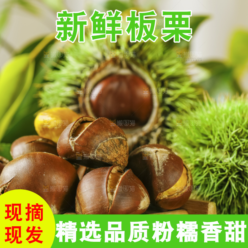 深底上放着生板栗