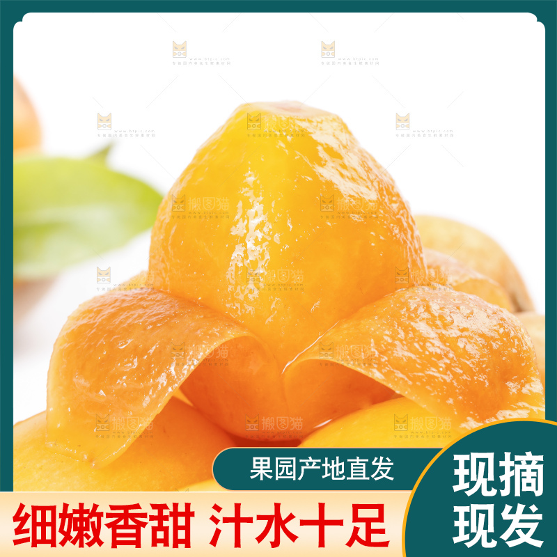 白底上放着攀枝花米易枇杷