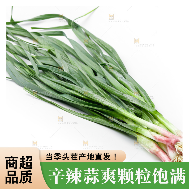 白底上的新鲜蒜苗