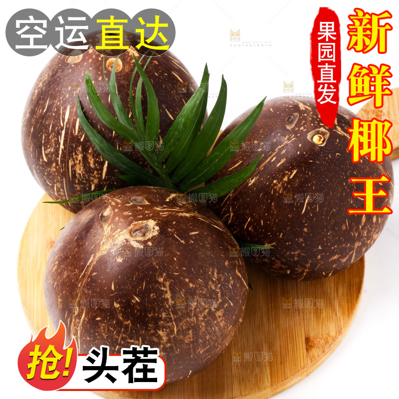 白底上放着椰王