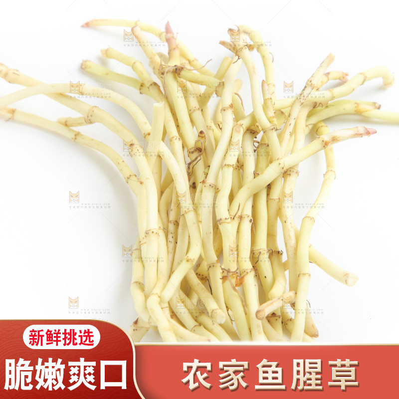 白底上放着折耳根