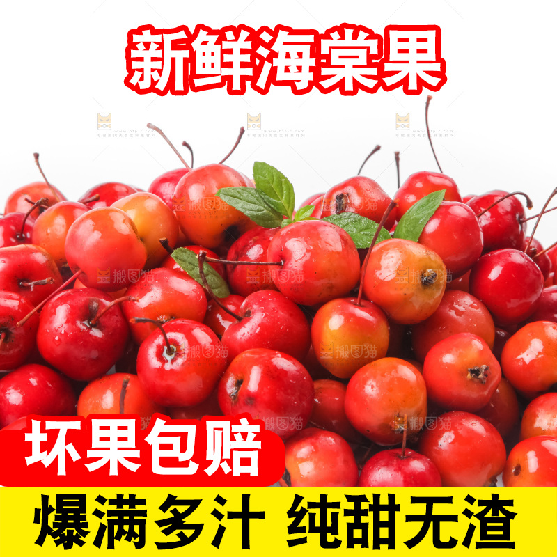 白底上的东北海棠果