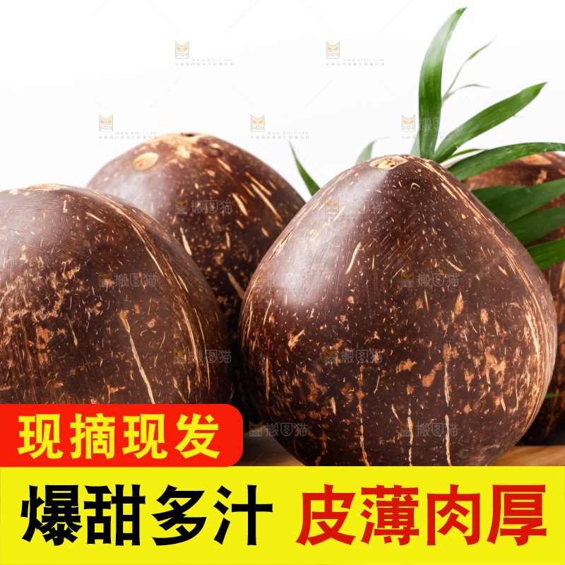 白底上放着椰王
