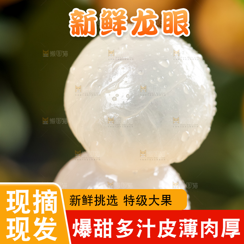 勺子里装着龙眼果肉