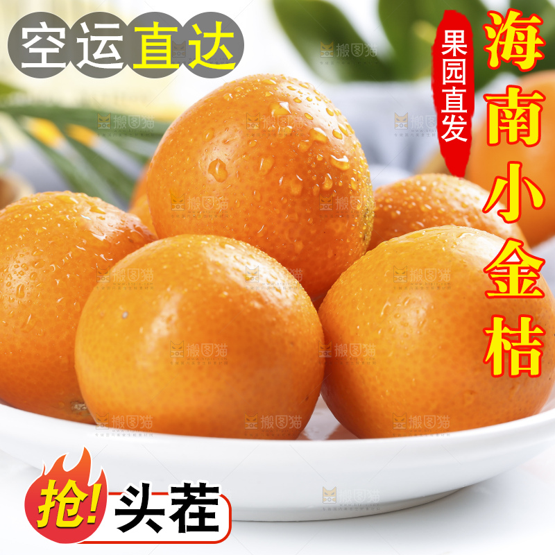 碟子里的融安金桔