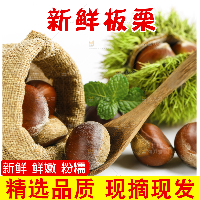 袋子里装着毛栗子