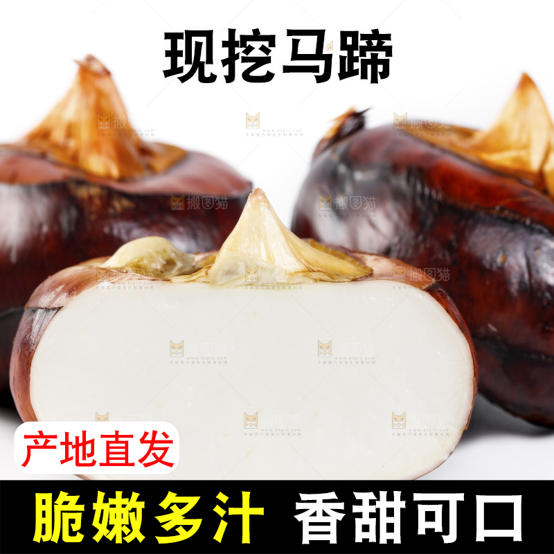 白底上的菩荠