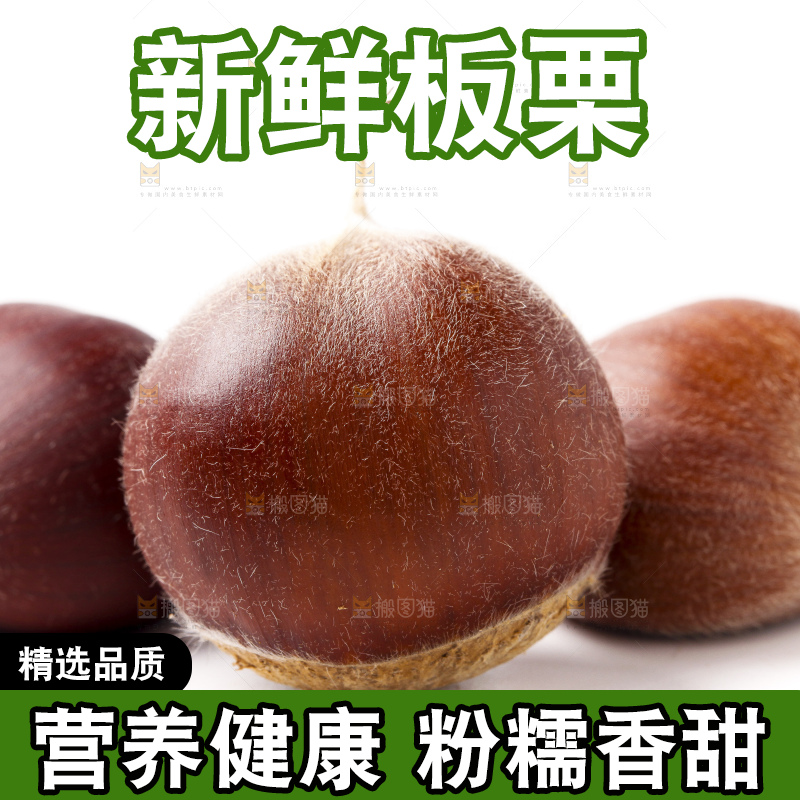 白底上放着迁西板栗