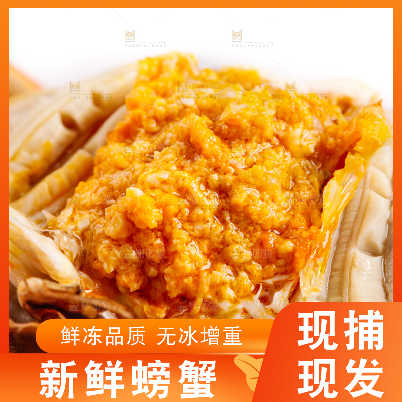 白底上的大闸蟹