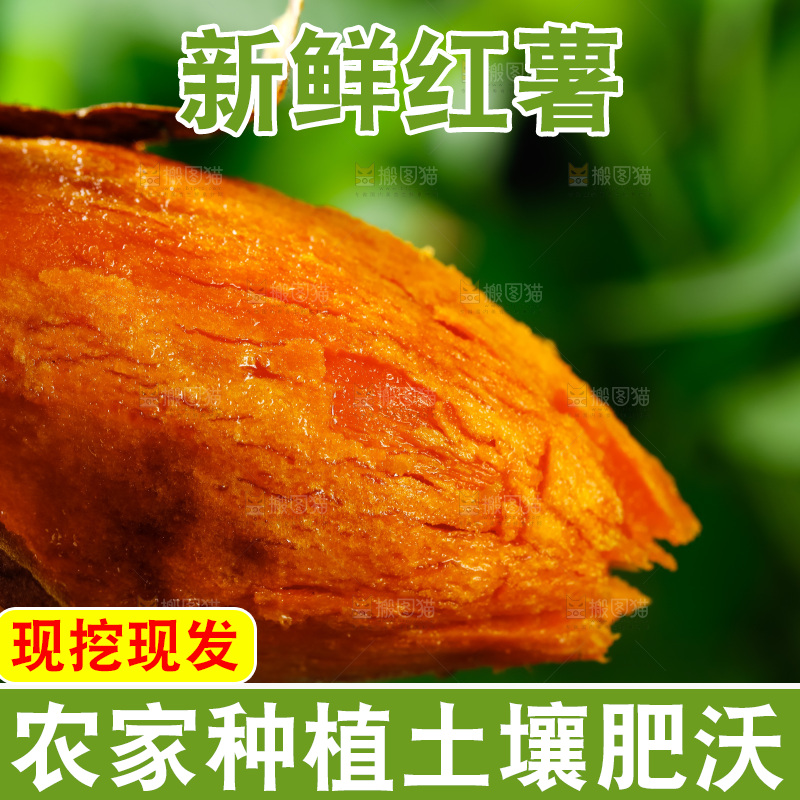 深底上放着烤红薯
