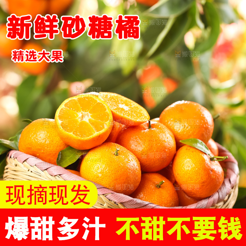 篮子里装着广西砂糖橘