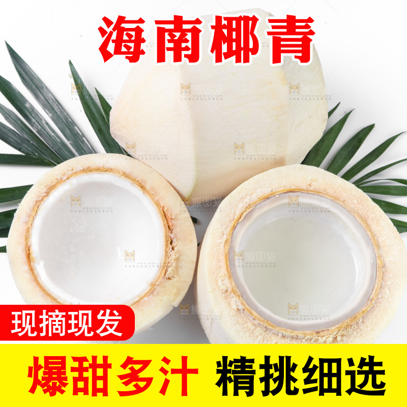 白底上青椰子