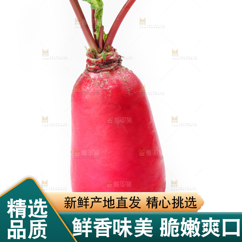 白底上的红萝卜