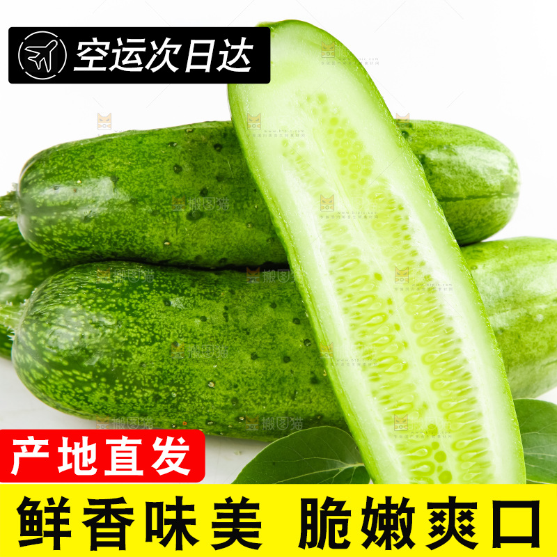 白底上的旱黄瓜