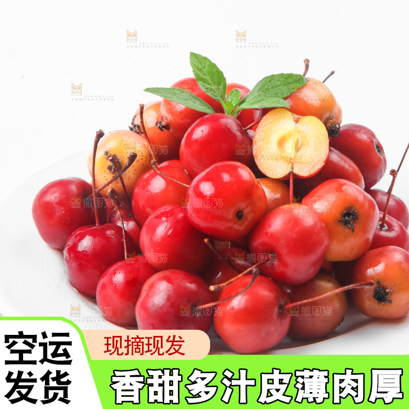 白底上放着东北海棠果