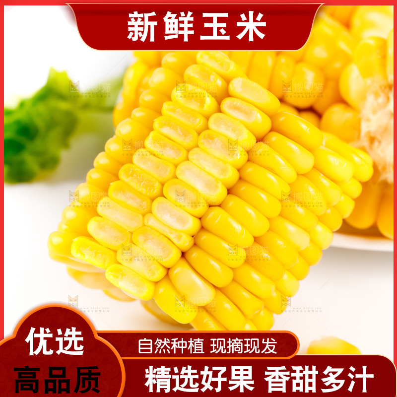 白底上放着黄玉米