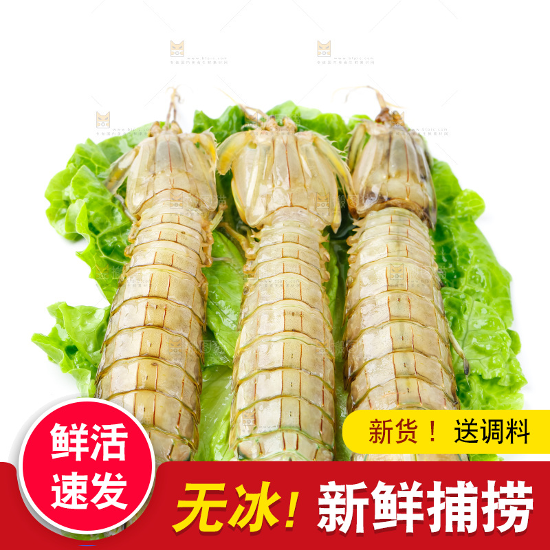 白底上的濑尿虾