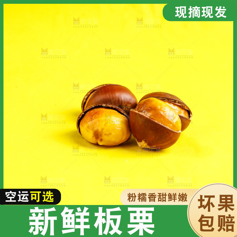 黄底上放着迁西板栗