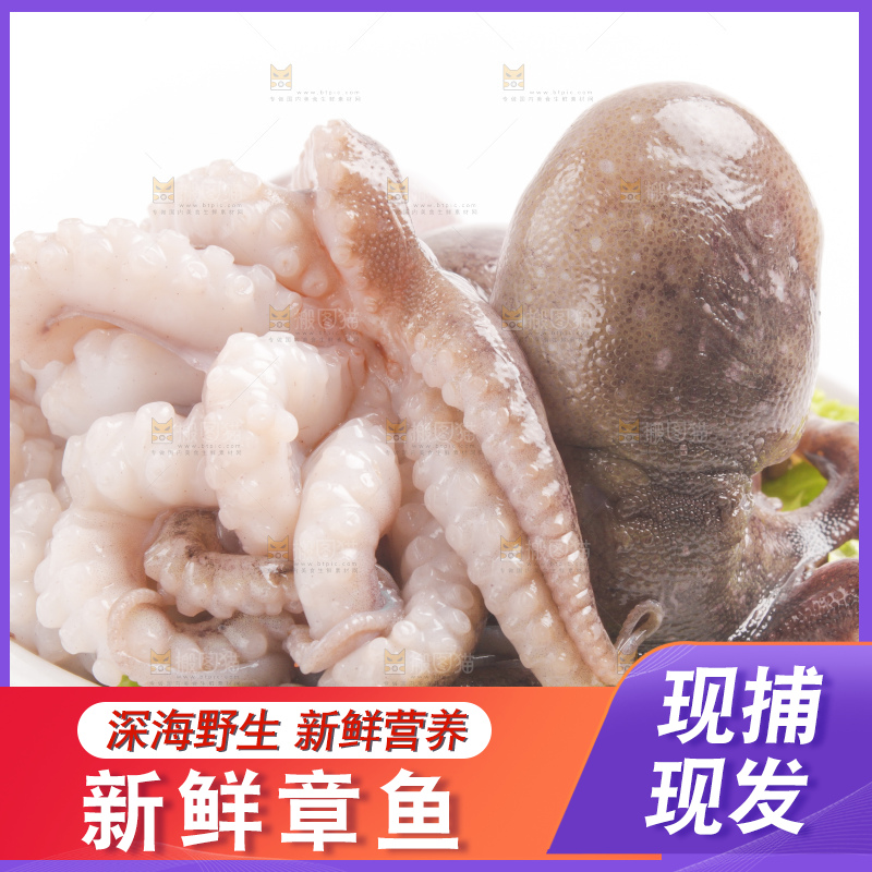 盘子里的大连章鱼