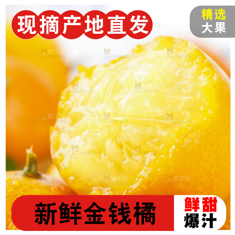 黑石板上的广西金钱橘