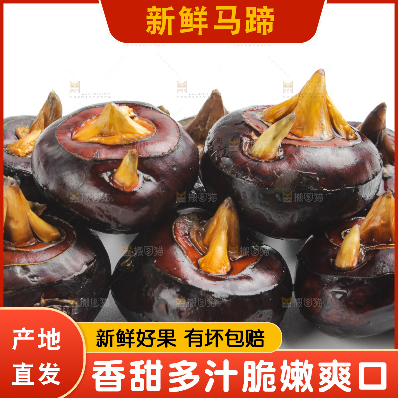 白底上摆放着广西荔浦马蹄