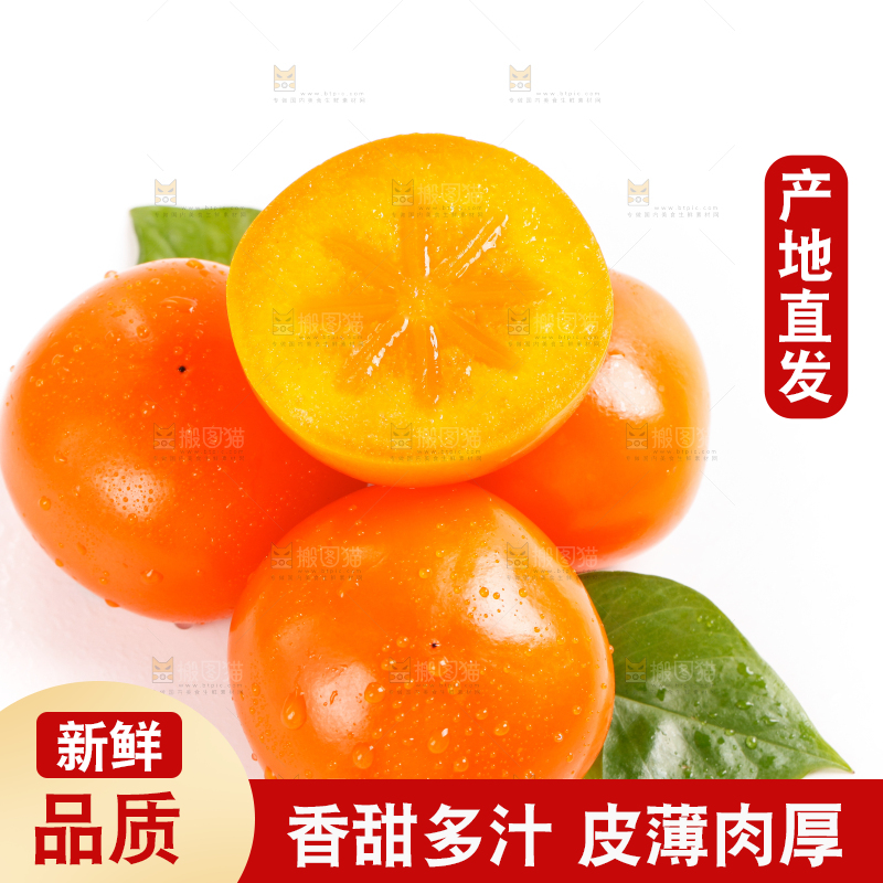 浅底上的大柿子