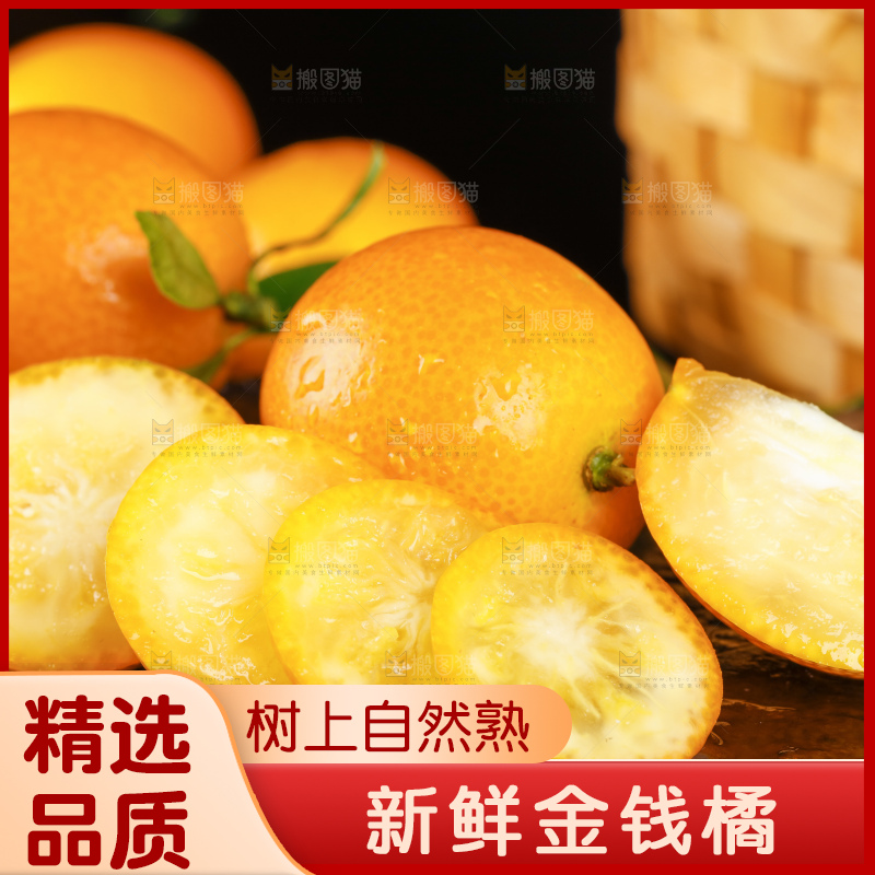 黑底上的小金桔