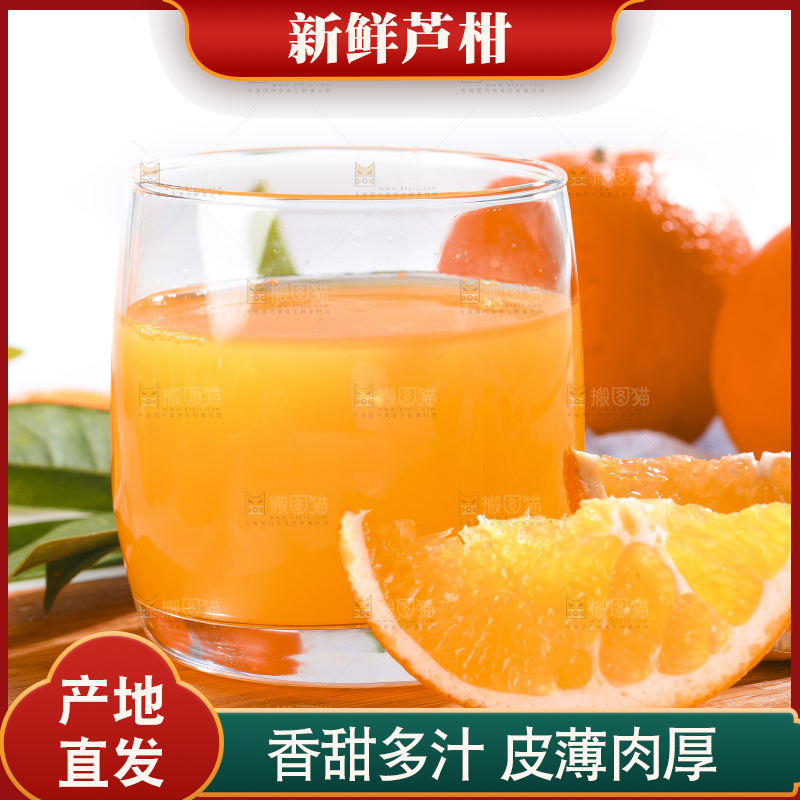白底上的芦柑