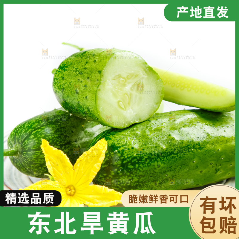 盘子里的东北旱黄瓜