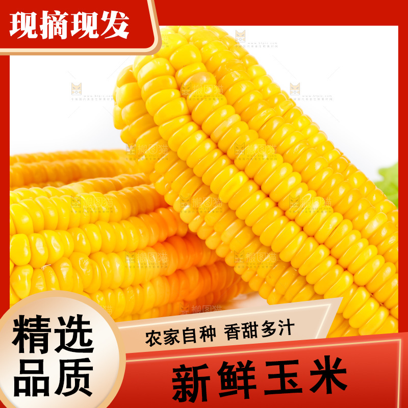 白底上放着黄玉米