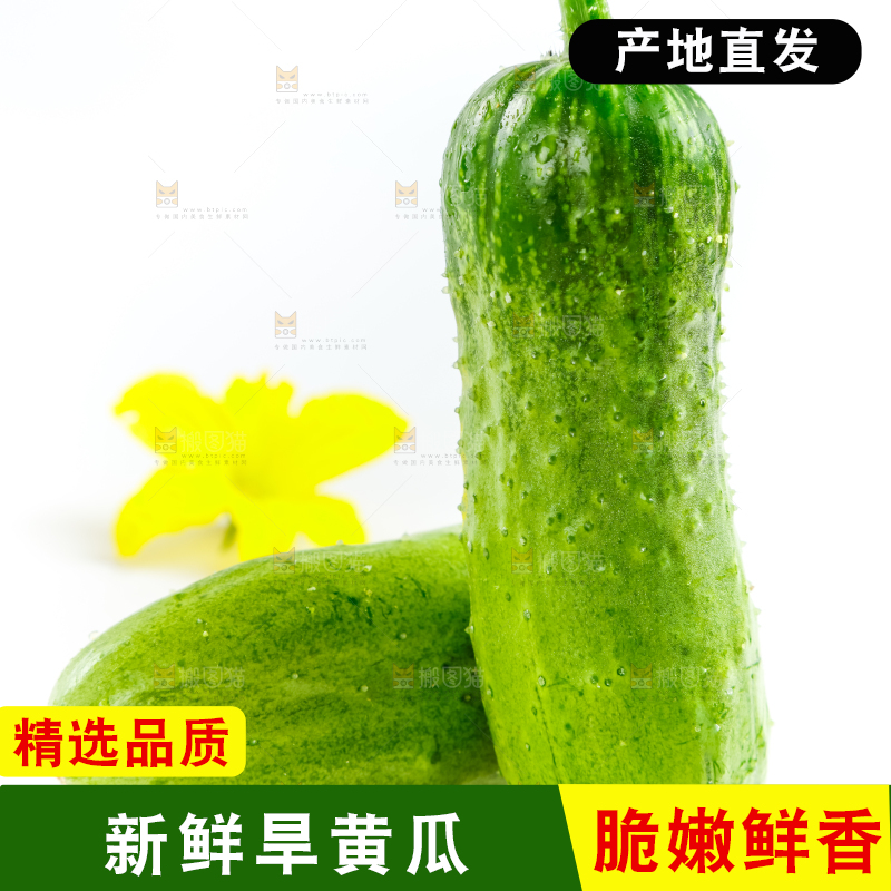 白底上的小黄瓜