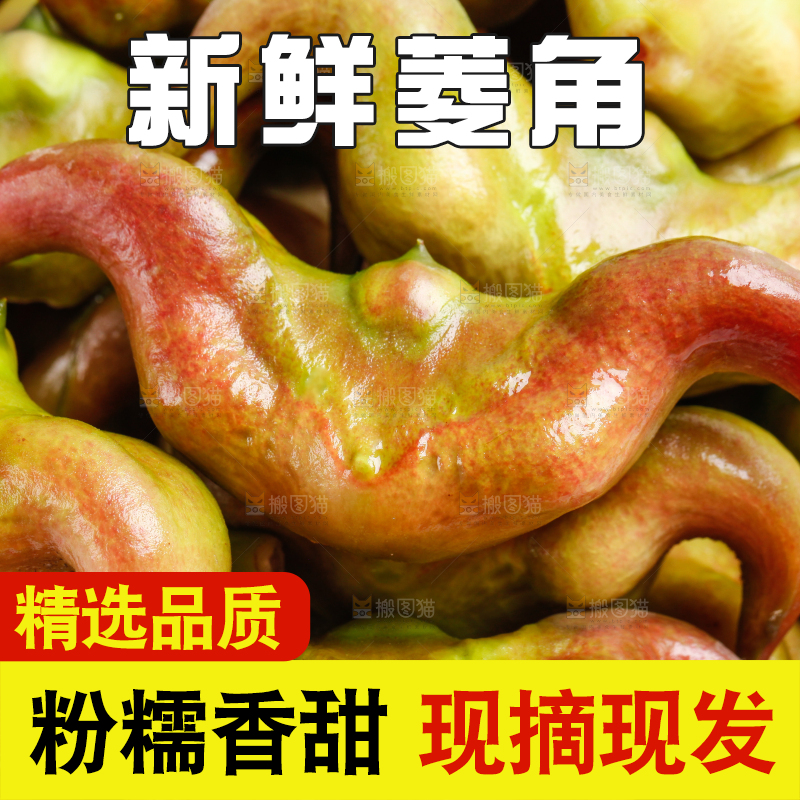 篮子里装着洪湖菱角