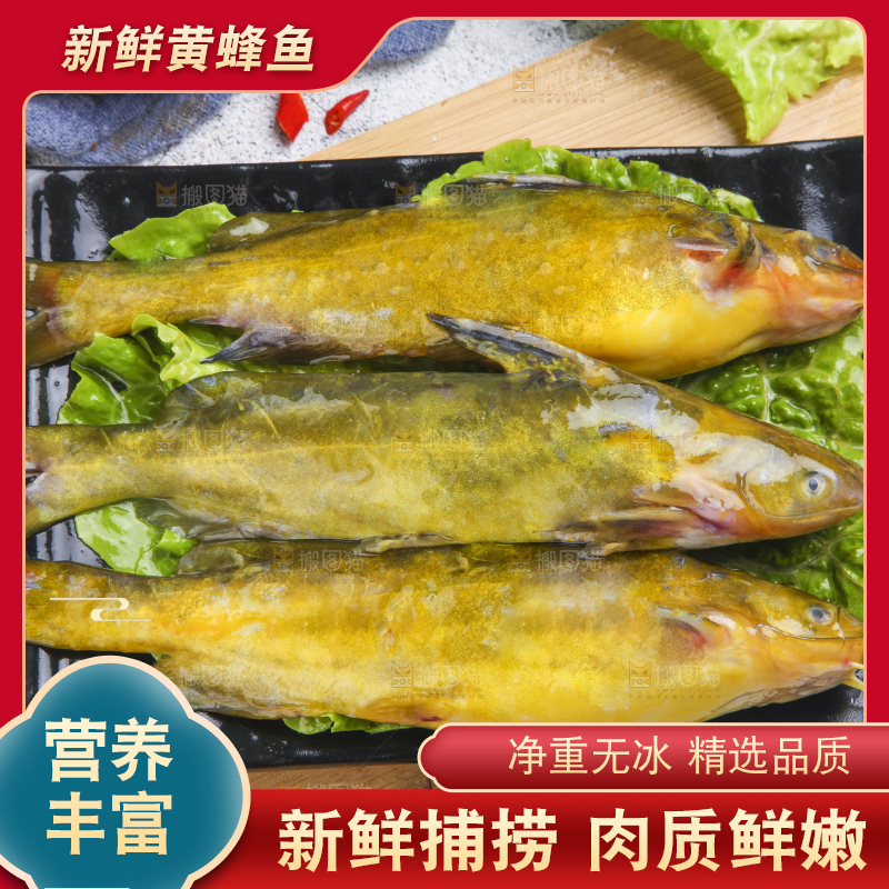 盘子里的黄蜂鱼