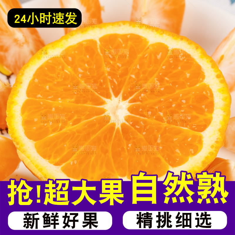 浅底上的春见耙耙柑