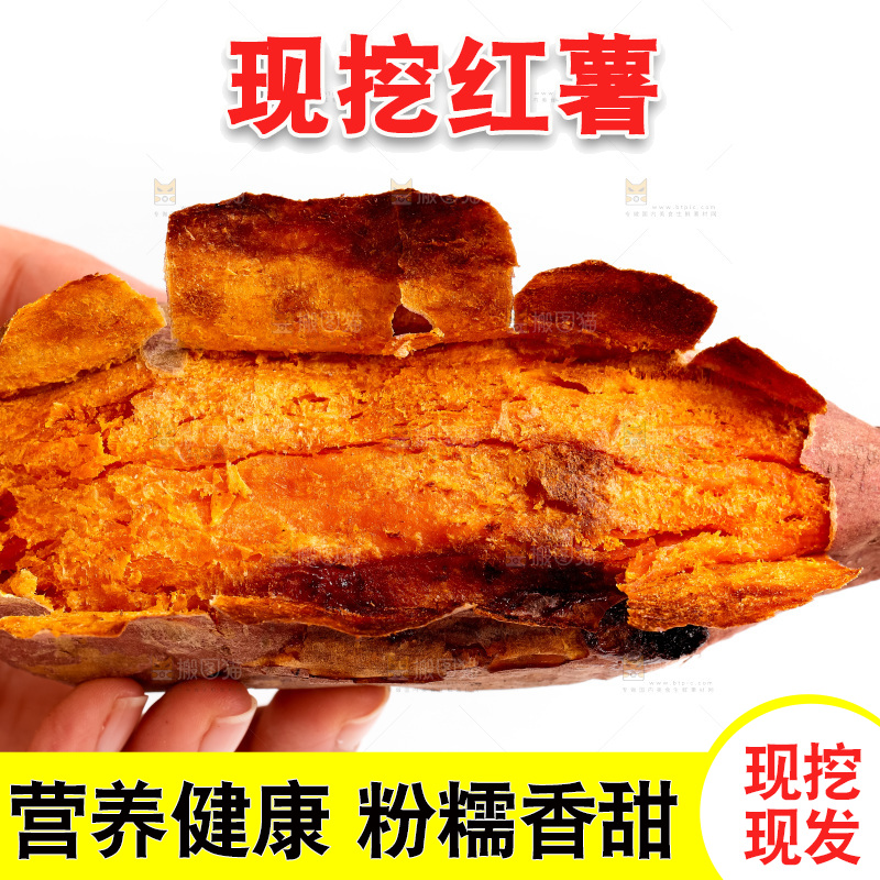 白底上的红薯