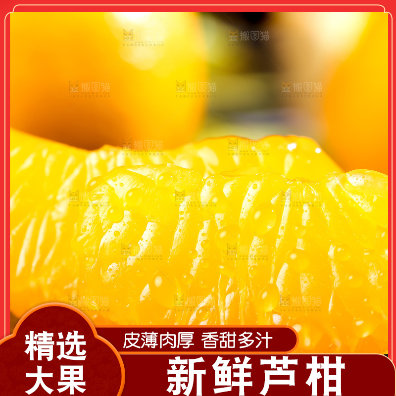 黑底上的福建芦柑