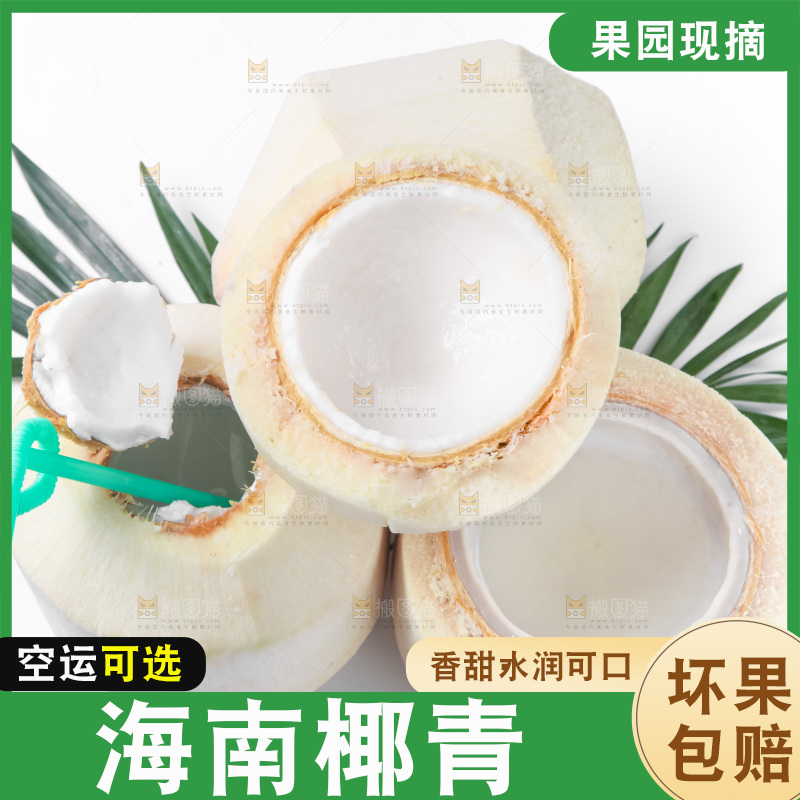 白底上青椰子